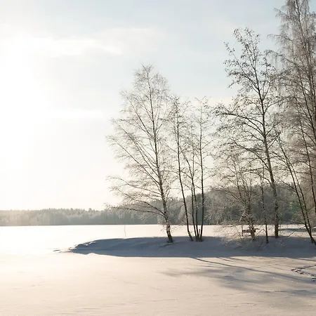 Hiekkarannanlomat *