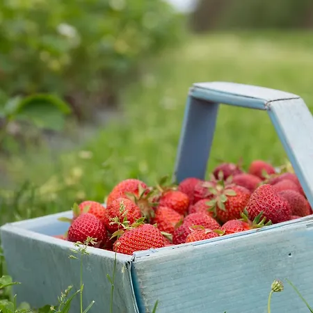 Hiekkarannanlomat 펜션