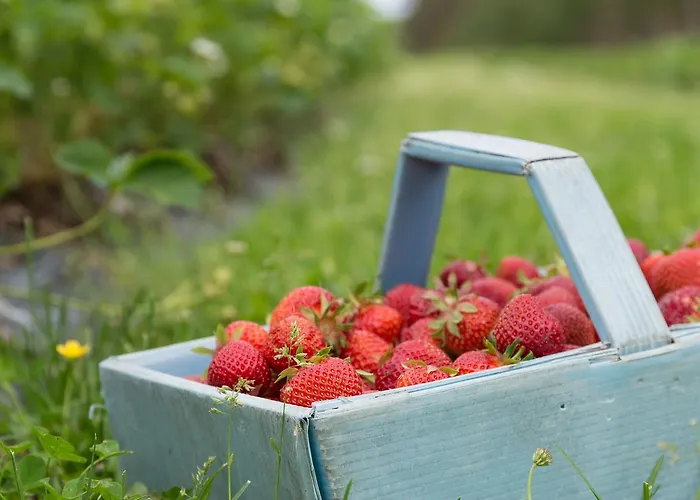 Hiekkarannanlomat Semesterbostad